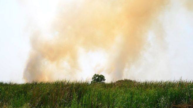 インドネシア火災が及ぼす世界的被害の規模