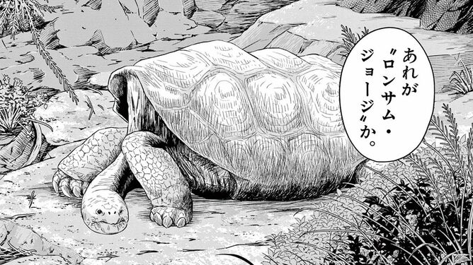 絶滅動物物語