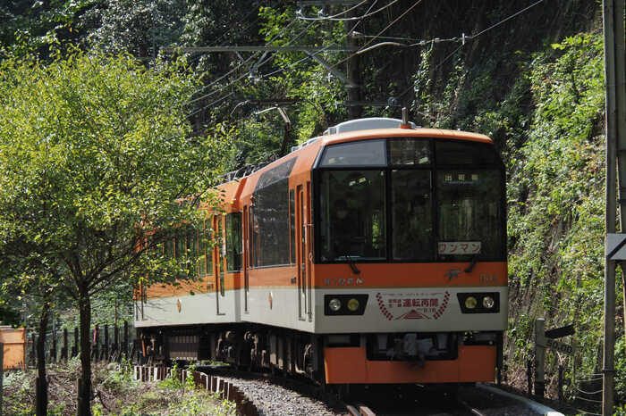 900系「きらら」は運転再開を祝したラッピングが