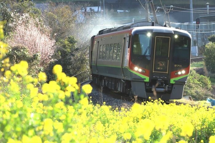 早春の風景の中を駆ける2700系「南風」