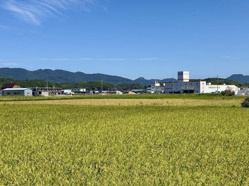 「ViVA」周辺の景色。緑と青のコントラストが美しい（写真：筆者撮影）
