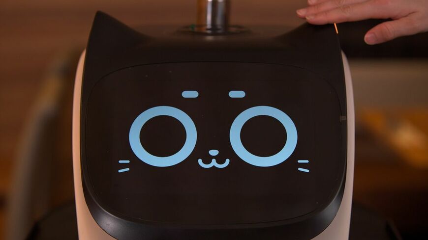 2021年8月からすかいらーくグループに導入されている猫型配膳ロボット「ベラボット(BellaBot)」（写真提供：すかいらーくホールディングス）
