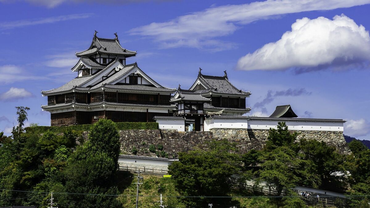 信長の重臣｢明智光秀｣戦場の雑談まで禁止した訳 | 秀吉を天下人にした男、豊臣秀長の実像 | 東洋経済オンライン