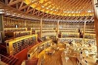 生き残るのはどこか　『本当に強い大学』２０１０年版