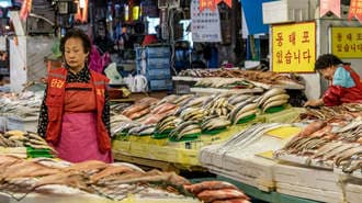 韓国で人気の魚市場､｢移転問題｣で大モメ