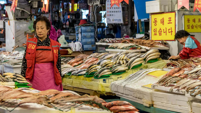 韓国で人気の魚市場､｢移転問題｣で大モメ