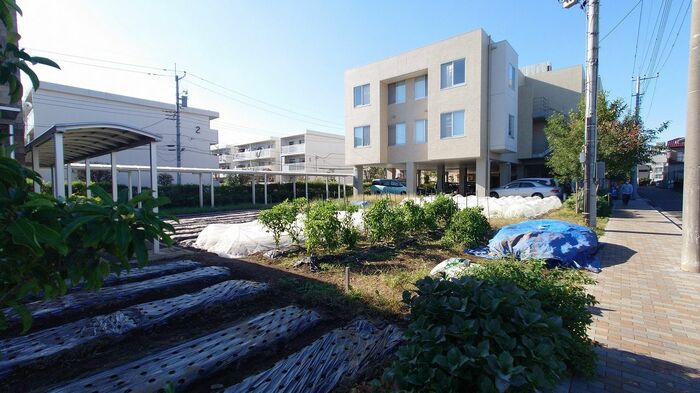 8500系電車設置予定地。道路沿いの現在は畑の部分。運