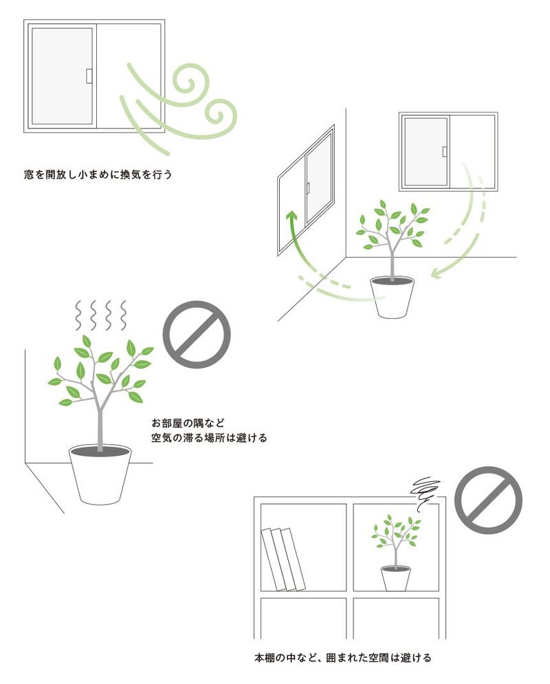 （イラスト：山田聖貴、澤ひかり）