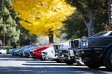 写真：Maserati Japan