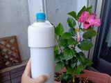 けれど強めに押し込んだら入り切った（著者撮影）