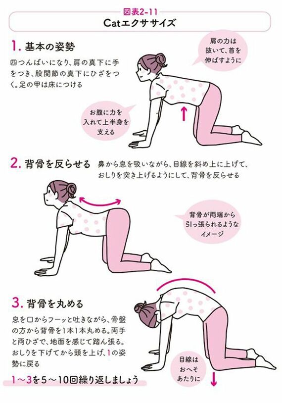 Catエクササイズ