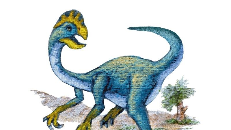 オビラプトル　卵　ハイクオリティ　化石　恐竜 卵泥棒と蔑まれた恐竜は決死で子を守る親だった オビラプトルの化石