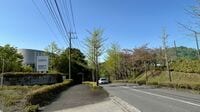｢サ店も雀荘もパチ屋も飲み屋もない｣と嘆きの声…開学からわずか21年で消滅｢青学･厚木キャンパス｣はなぜ作られたのか