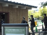 上野動物園の双子パンダを観覧する人々