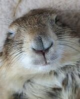 （写真提供：まる子さん）
