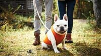 ペットの生活を｢飼い主の死後｣も守るには？ いまや家族の一員のように扱われますが…