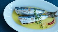 今が旬！イワシで｢オイルサーディン｣作るコツ 唯一のポイントは｢弱火｣､最強の保存食が完成