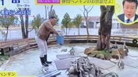 オードリー春日が動物園への謝罪で株を上げた訳 ｢スッキリ｣騒動､なぜ批判一色を一変させられたのか