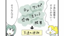 DVで理不尽に引き離される"親子のリアル"　｢法テラス仕事は驚くほどお金にならない｣それでもDV被害者を救い続ける弁護士の声