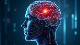 ｢政治的に保守的な人｣の脳を調べてみると？　コンマ何秒という数値で示されるその｢知覚面の慎重さ｣という特徴