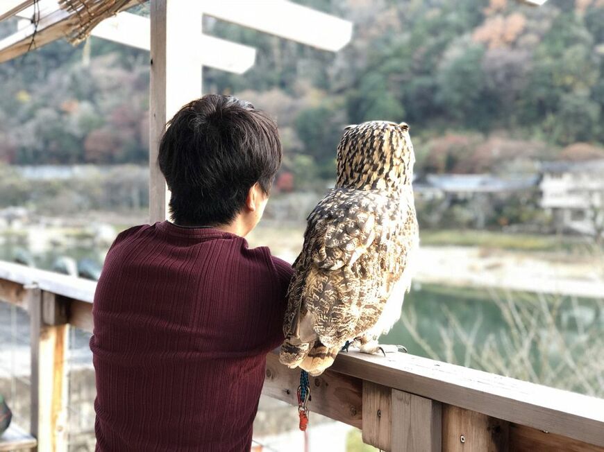 滋賀県に住む飼い主のゲンさんとベンガルワシミミズクのガルー（写真提供：ゲンさん）