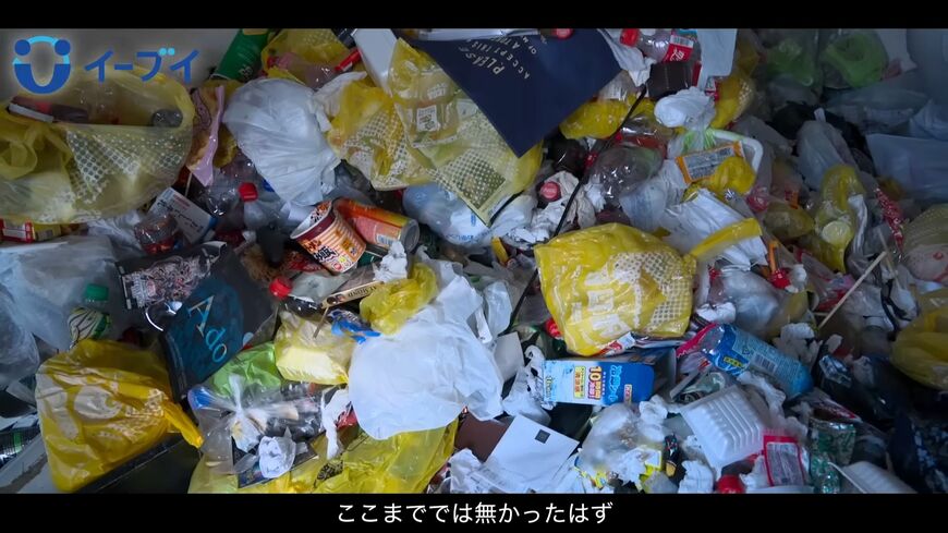 （画像：「イーブイ片付けチャンネル」より）