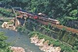 山陰本線旧線の保津峡駅。キハ47のローカル列車とキハ181系の特急列車がすれ違う（撮影：南正時）
