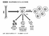 （画像：『東大名誉教授が教える 死なない生き方 科学でひもとくアンチエイジングと健康寿命』より）