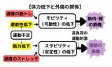 体力低下も過度のトレーニングもケガの原因となる（図：筆者作成）