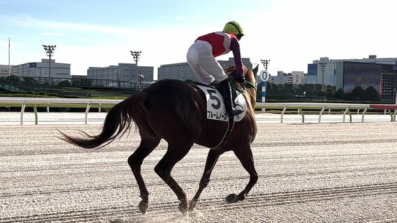 スポーツ報知 競馬記者 志賀浩子