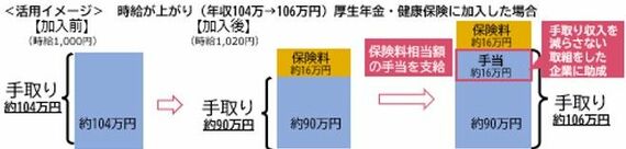 年収の壁 扶養認定要件