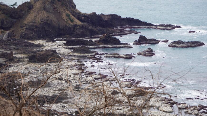 能登半島地震で隆起した石川県珠洲市の海岸（筆者撮影）