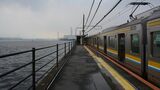 目の前が海の駅、ネコがいる駅……今回はJR鶴見線の楽しみ方を紹介します