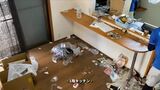 ゴミ屋敷