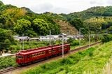 和歌山電鉄貴志川線　うめ星電車