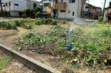 ハラッパ団地