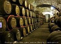 第20回　ワイン造りの時代の転換点に立って