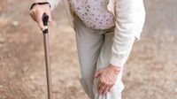 ひざが痛くなって歩けなくなる人と治る人の大差 メカニズムを理解せず痛みだけを止めるのは禁物