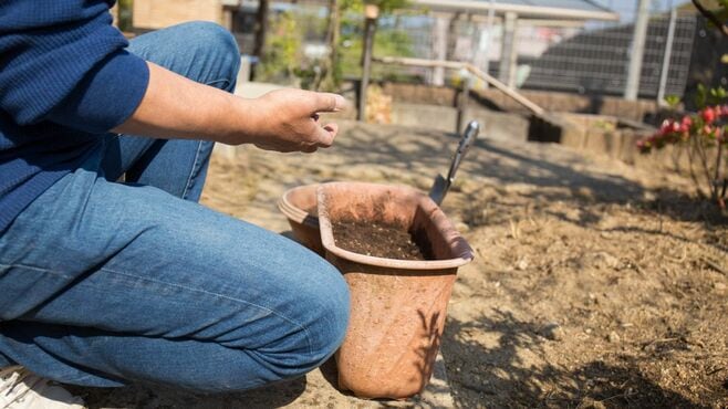 【40代で差がつく】人生を本気で遊ぶ趣味の極意