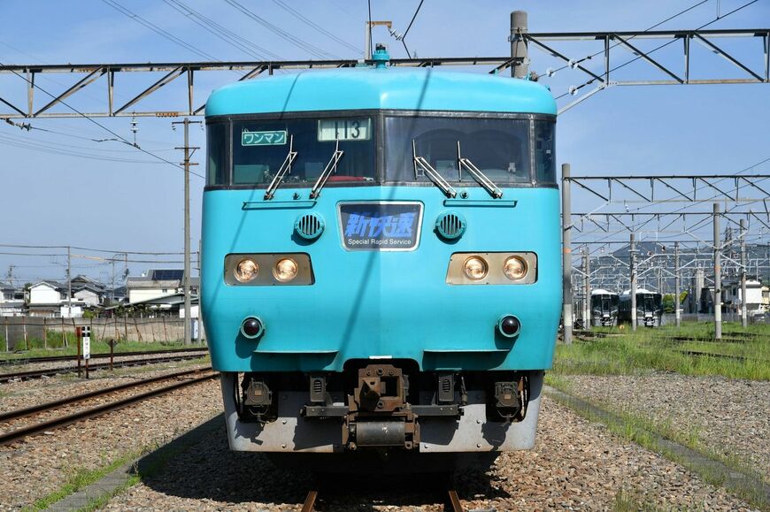 すっと通った鼻筋と、ほっぺたを膨らませたような顔が特徴（筆者撮影）