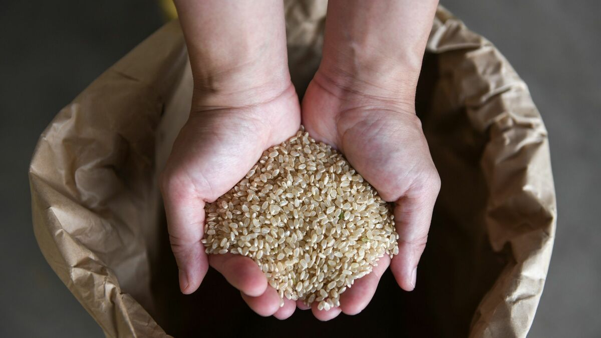 日本が水田面積を維持したほうがいい納得の理由 | 消費・マーケティング | 東洋経済オンライン