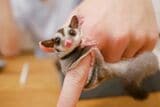 （写真：ひろさん提供）