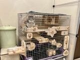 チンチラのケージ