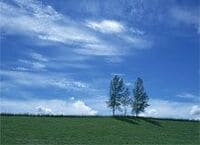 《プロに聞く！人事労務Q＆A》兼業禁止規定を理由に社員を懲戒解雇できますか？