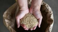 日本が水田面積を維持したほうがいい納得の理由