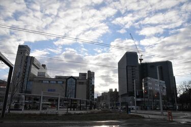 情報化経営の時代: 第二の産業革命下での日本的経営の行方 (一橋