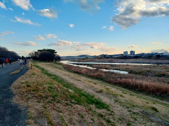 特撮や映画のロケ地として知られる多摩川の五本松