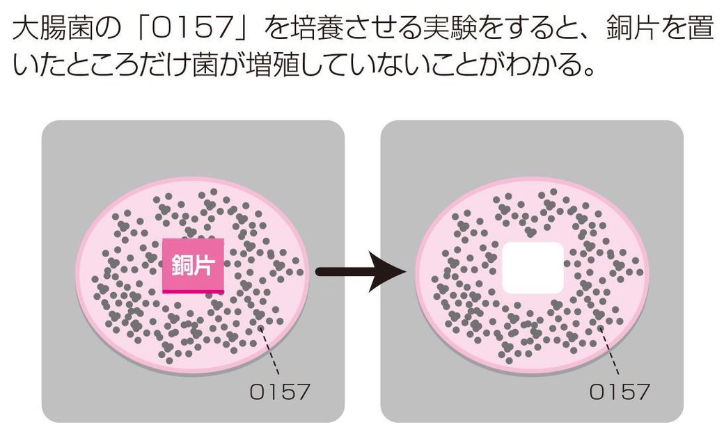 抗菌グッズはどうやって菌を抑えているのか リーダーシップ 教養 資格 スキル 東洋経済オンライン 経済ニュースの新基準