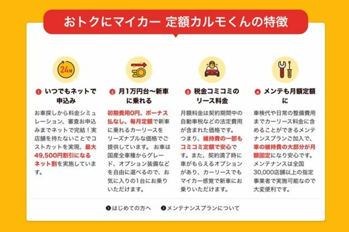 定額カルモくんの特徴(写真:ナイル)