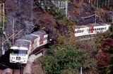 吾妻線の旧線にあった「日本一短いトンネル」を通り抜ける185系「草津」（筆者撮影）
